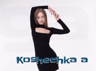 Koshechka_a