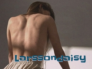 Larssondaisy