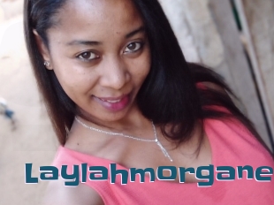 Laylahmorgane