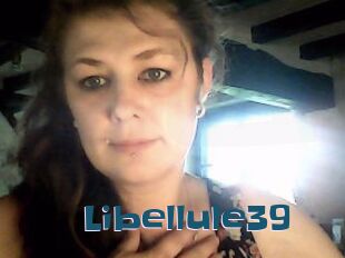 Libellule39