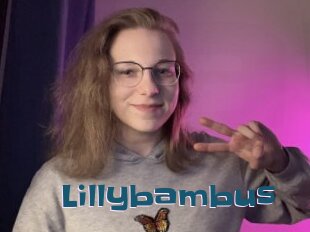 Lillybambus