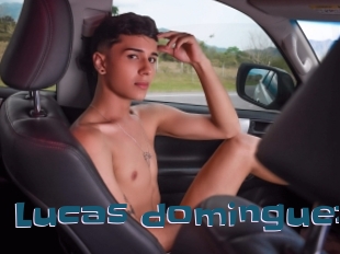 Lucas_dominguez