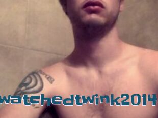 Luv2bwatchedtwink2014