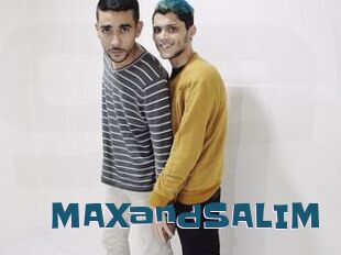 MAXandSALIM