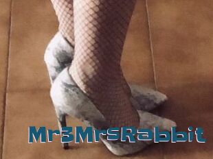 Mr3MrsRabbit