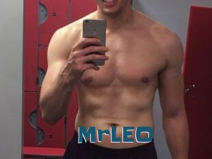 MrLEO