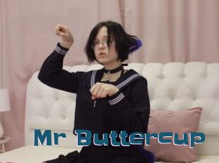 Mr_Buttercup