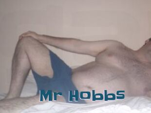 Mr_Hobbs