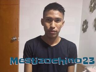 Mestizochino23