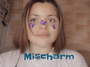 Mischarm