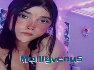 Molllyvenus