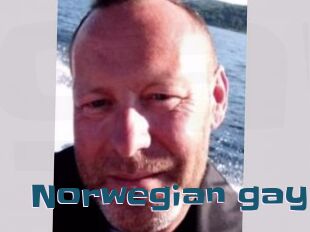 Norwegian_gay