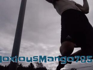 NoxiousMango785