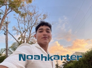 Noahkarter