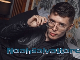 Noahsalvattore