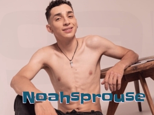 Noahsprouse