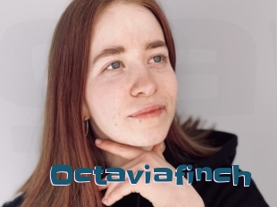 Octaviafinch