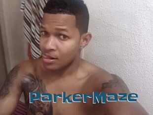 Parker_Maze