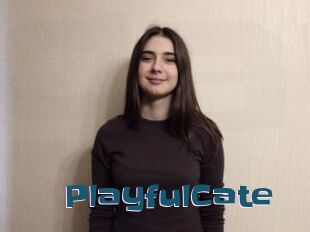 PlayfulCate