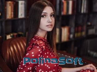 PolinaSoft