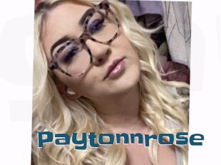 Paytonnrose