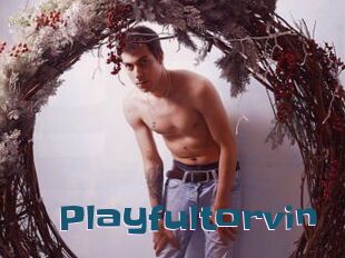 Playfultorvin