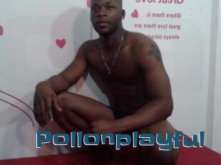 Pollonplayful