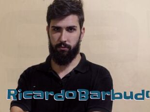 RicardoBarbudo