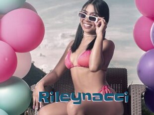 Rileynacci