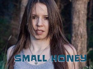 SMALL_HONEY