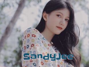 SandyJee