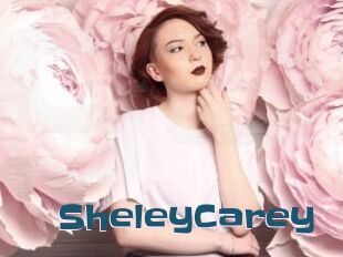 SheleyCarey