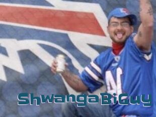 ShwangaBiGuy