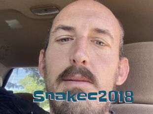 Snakec2018