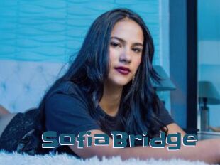 SofiaBridge