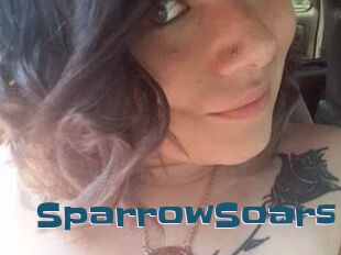 SparrowSoars