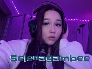 Selenagambee