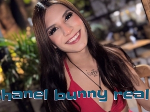 Shanel_bunny_real