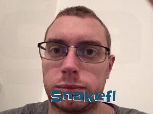 Snakefl