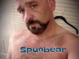 Spunbear