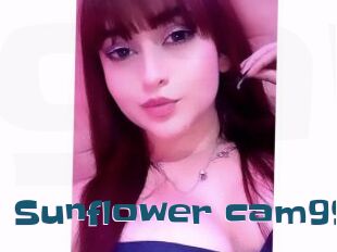 Sunflower_cam99