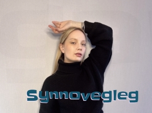 Synnovegleg