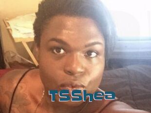 TS_Shea