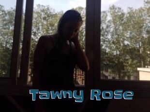 Tawny_Rose