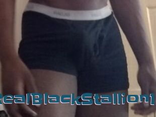 TheRealBlackStallion1