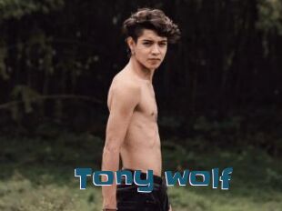 Tony_wolf