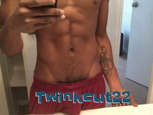 Twinkcut22