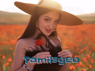 Tamilsgeo