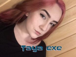 Taya_exe