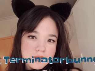 Terminatorbunny